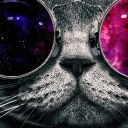 everydaybisexual avatar