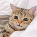 everydayclutter avatar