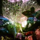 everydayistherightday avatar