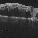 everydaystrvggle avatar