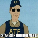 everygunlawisaninfringement avatar