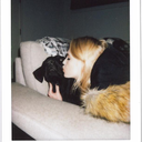 everyknotcomesloose avatar