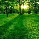 everyone-sacritic avatar