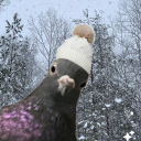 everypigeondeserveslove avatar