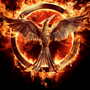 everything--hunger--games avatar