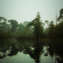 everything-black avatar