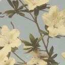 everything-bluegreen avatar