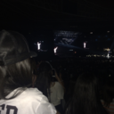 everything-has-a-purpose avatar