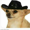 everything-is-sad avatar