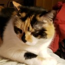 everything-makes-me-anxious avatar