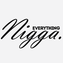 everything-nigga avatar