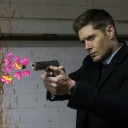 everything-supernatural-blog avatar