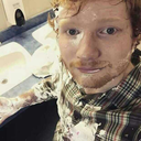 everything-teddy avatar