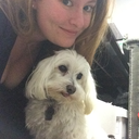 everything-you-need-toknow avatar