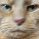 everythinghurts37 avatar