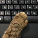 everythingieverdreamedof avatar