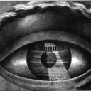 everythingiscuriosity avatar