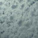 everythingisgreater avatar