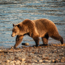 everythingisperfectwhenuraliar avatar