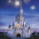 everythingissecondtoyourdreeams avatar