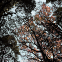 everythingsgoingawry avatar