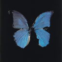 everythingsmean avatar