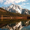 everythingtopmodel avatar