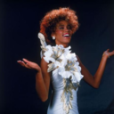 everythingwhitneyhouston avatar