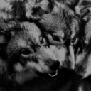 everywhere-hurts avatar