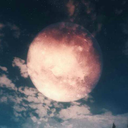 everywherebedragons avatar