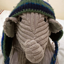 everywhereisnowhere avatar