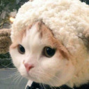 evetaynenoyle avatar