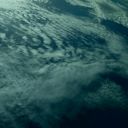 evidenceoflove avatar