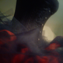 evil-bunny-jar avatar