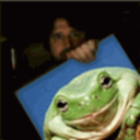 evil-frog avatar