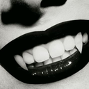 evillittlevixen avatar