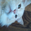 eviloverlibrarian avatar