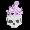 evilpetalsart avatar