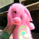 evilrainbowbunny788 avatar