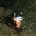 evilsandwich04 avatar