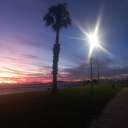 evilscreams009 avatar