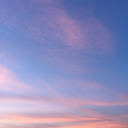 evilwonderland avatar