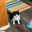 evilwords-foulmood avatar