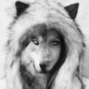 evokingthewolf avatar