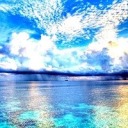 evolutionofafitgeek avatar