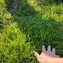 evolutionsoul avatar