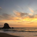 evolvelimitlessly avatar