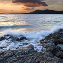 evolving-wolf avatar