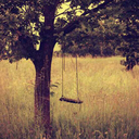 evvelzamanicindee avatar