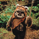 ewok55 avatar